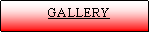 Text Box:              GALLERY